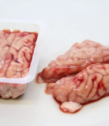 Cervelles de porc 600 gr