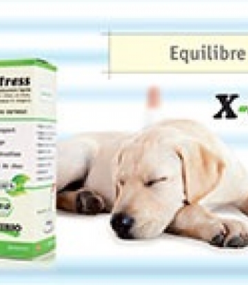 Stress BIO 50 ml