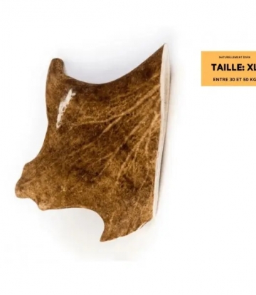 Bois de daim taille XL