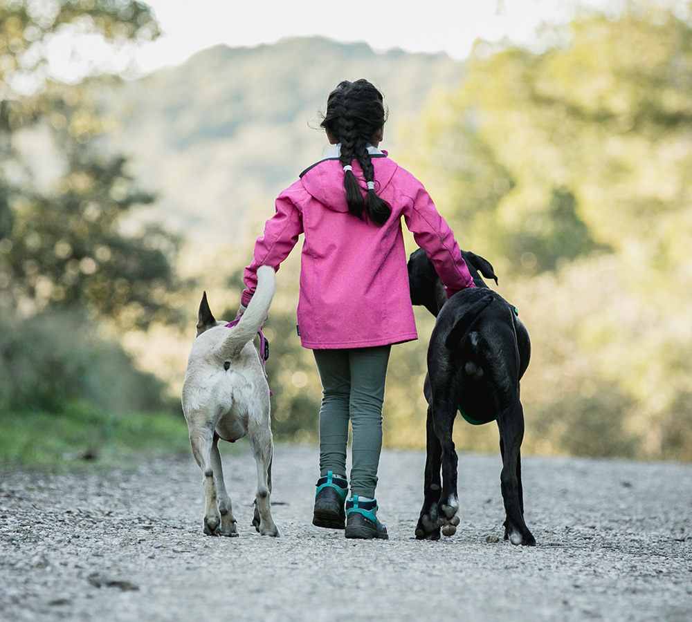 Rosie de dos avec les chiens